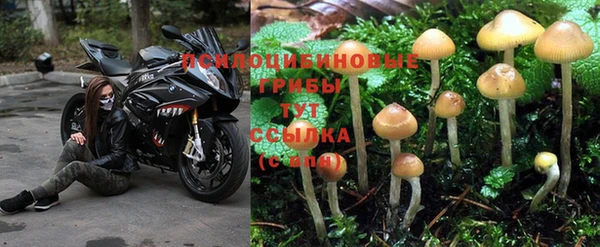 кристаллы Алзамай