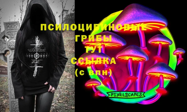 прущие грибы Алексеевка